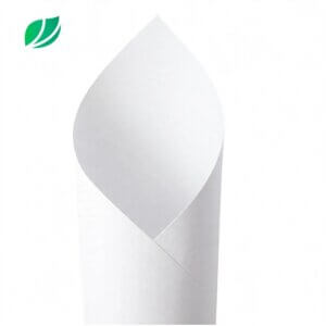 Papel Alta Alvura 120 gramas